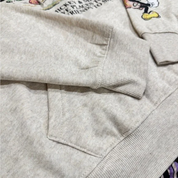 Disney Mickey & Minnie "Places to Go, Friends to See" Hoodie - Heather Beige - Picture 11 of 12